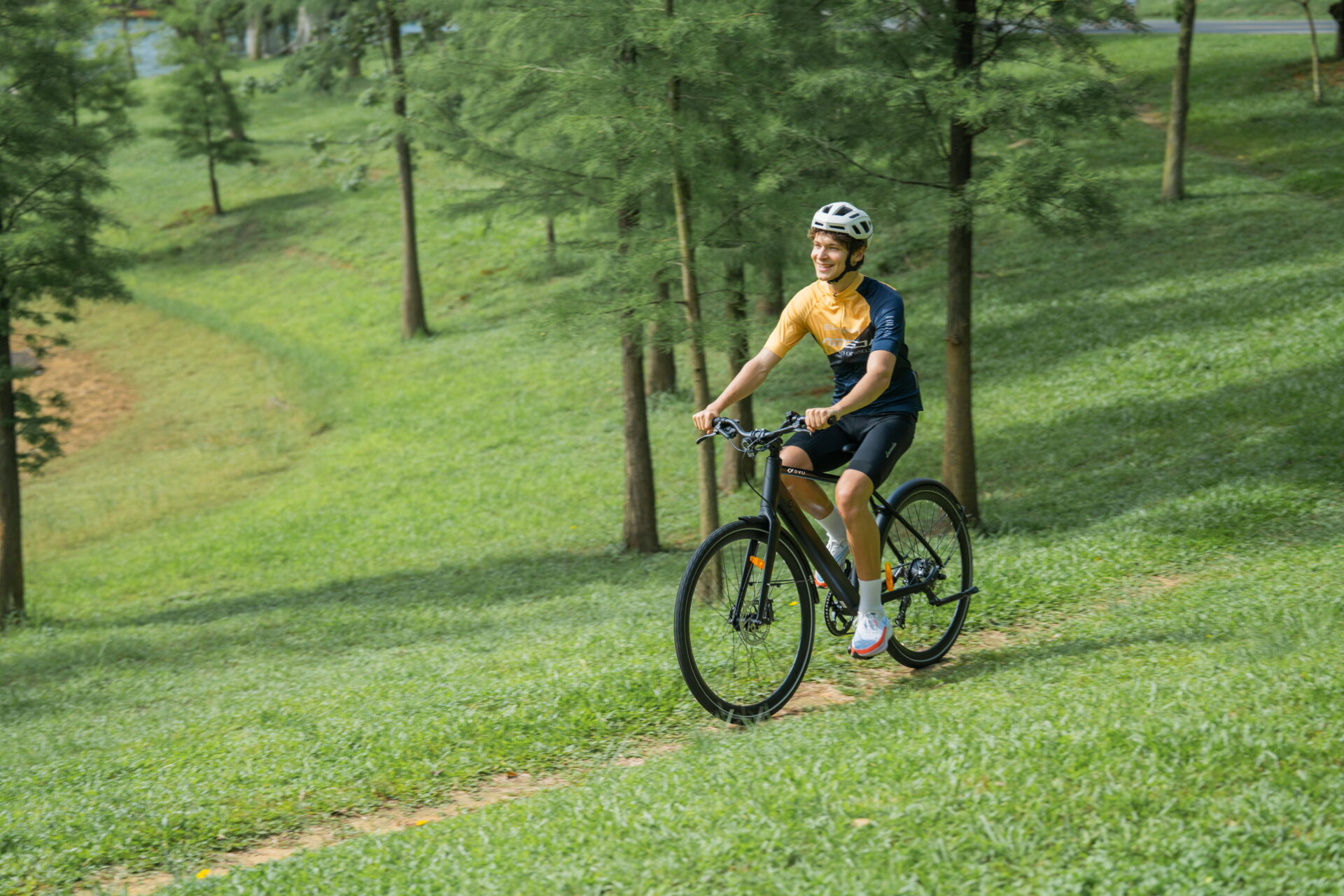 Sheffield’s Urban Forest Plan: How E-Bikes Are Planting the Seeds for a Greener City 4