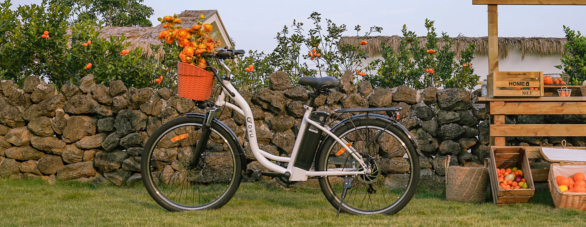 Bicicleta eléctrica urbana Zonveer C6 de 26 pulgadas, 250 W, autonomía de 60 km 2