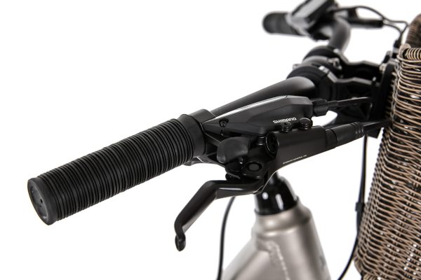 F.lli Schiano 20” 250 W 36 V 7,8 Ah e-bike pieghevole – e-bike da città per adulti