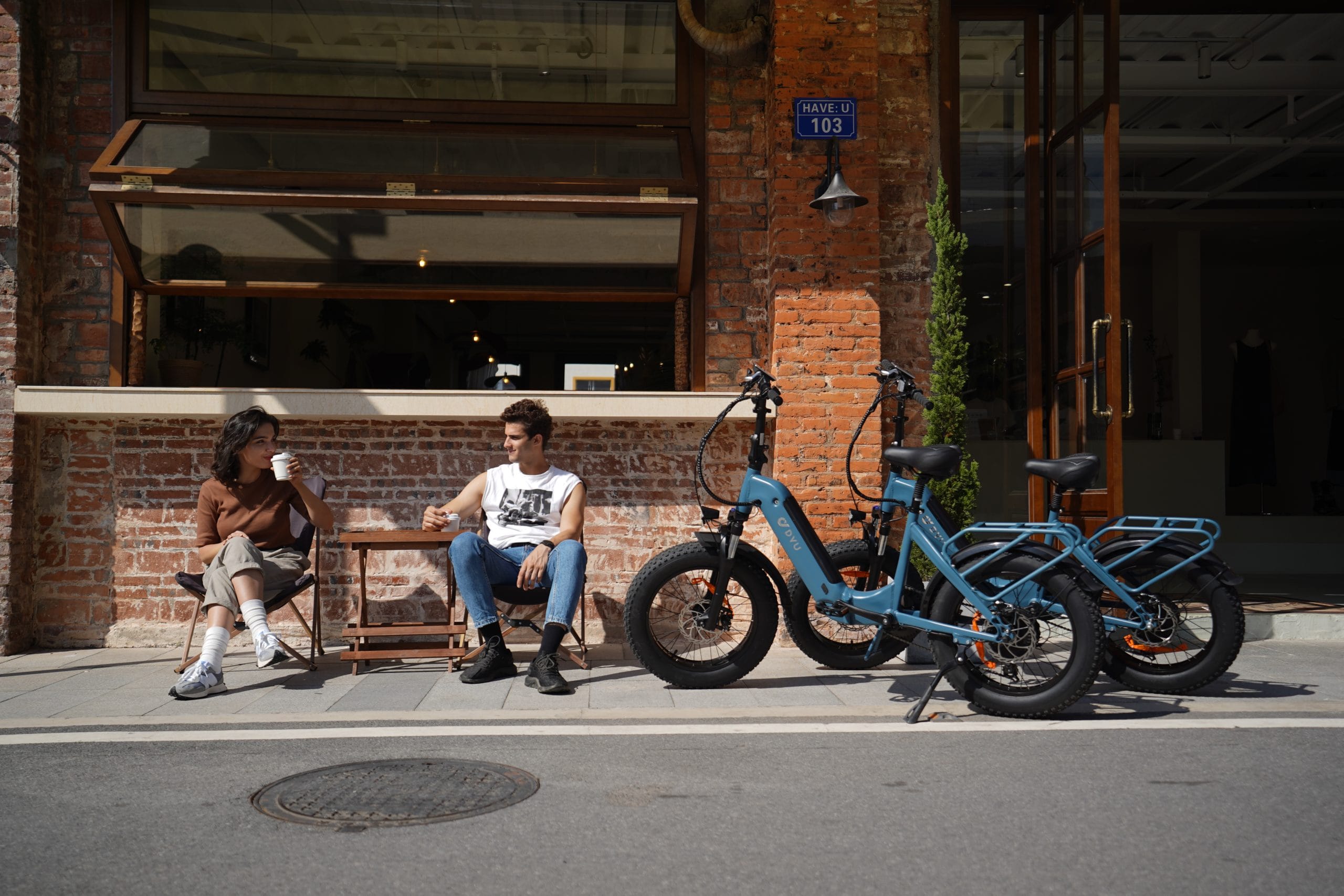 Zonveer FF500 20in Fat Tire E-Bike, 500W, 70KM Range - Image 13