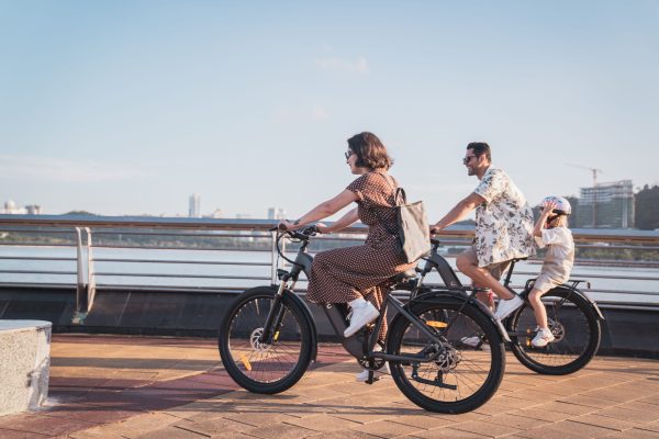 Zonveer C1 26in City E-Bike, 500W, 65KM Range