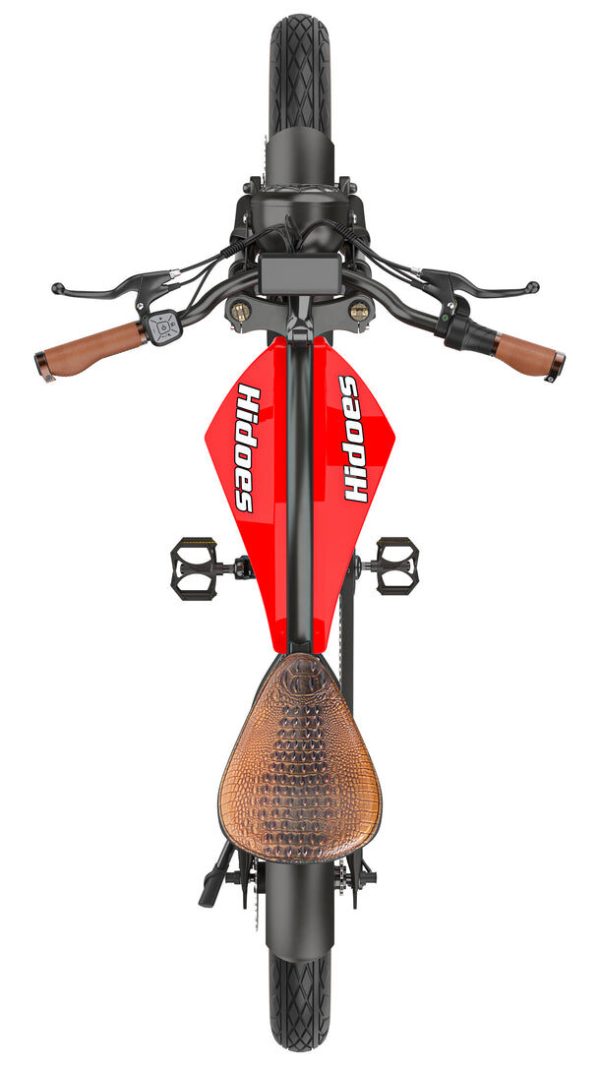 Hidoes B10 1000W Dikke Banden Elektrische Fiets - Krachtige Off-Road E-bike met 40-Mijl bereik