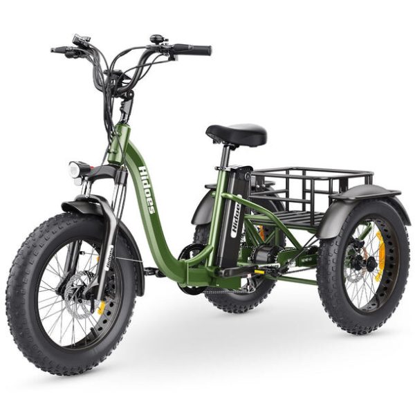 Hidoes ET1 750W Electric Tricycle – Powerful Fat Tire E-Trike with Long-Lasting 20Ah Battery