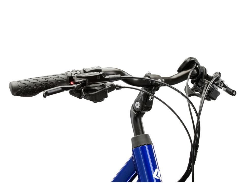 Riverside 100 E LF Trekking-E-Bike – Komfort, 70 km Reichweite, niedriger Rahmen – Bild 5