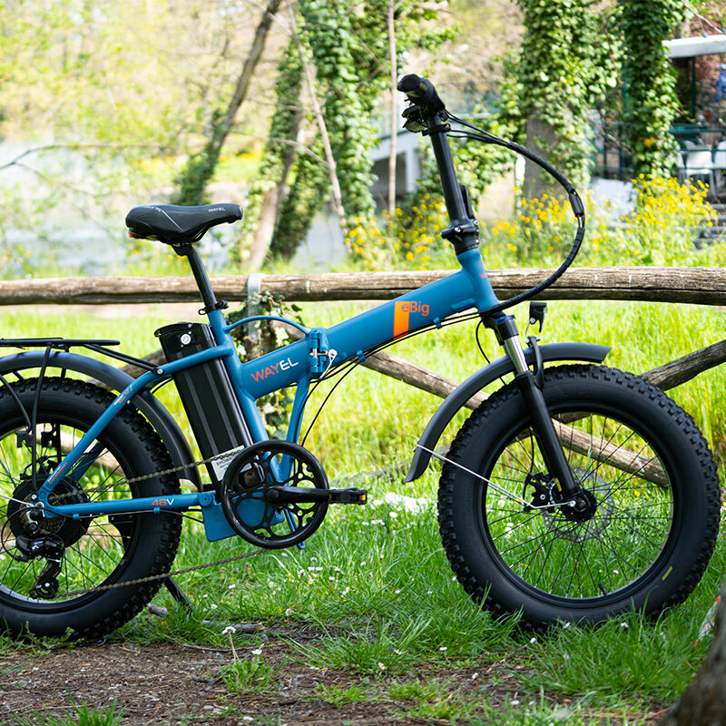 Wayel eBig 48V: Trekking E-Bike with Powerful Battery and 28" Wheels - Image 2