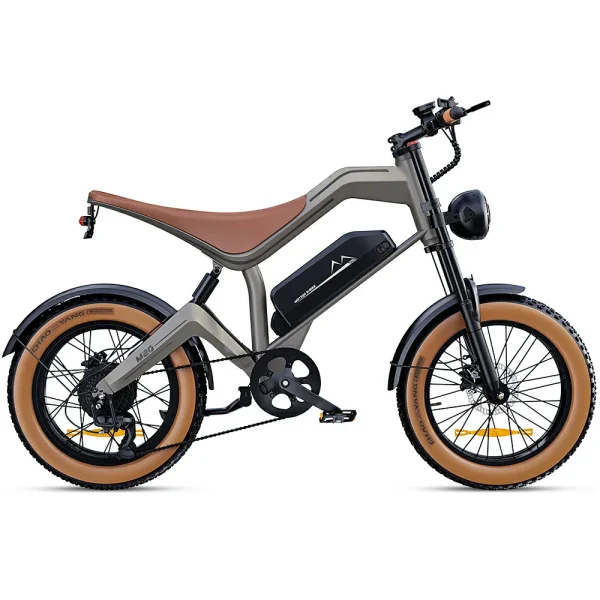 Zonveer M20 All-Terrain Long-Range Electric Bike