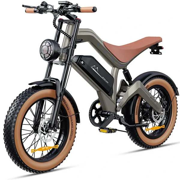 Zonveer M20 All-Terrain Long-Range Electric Bike
