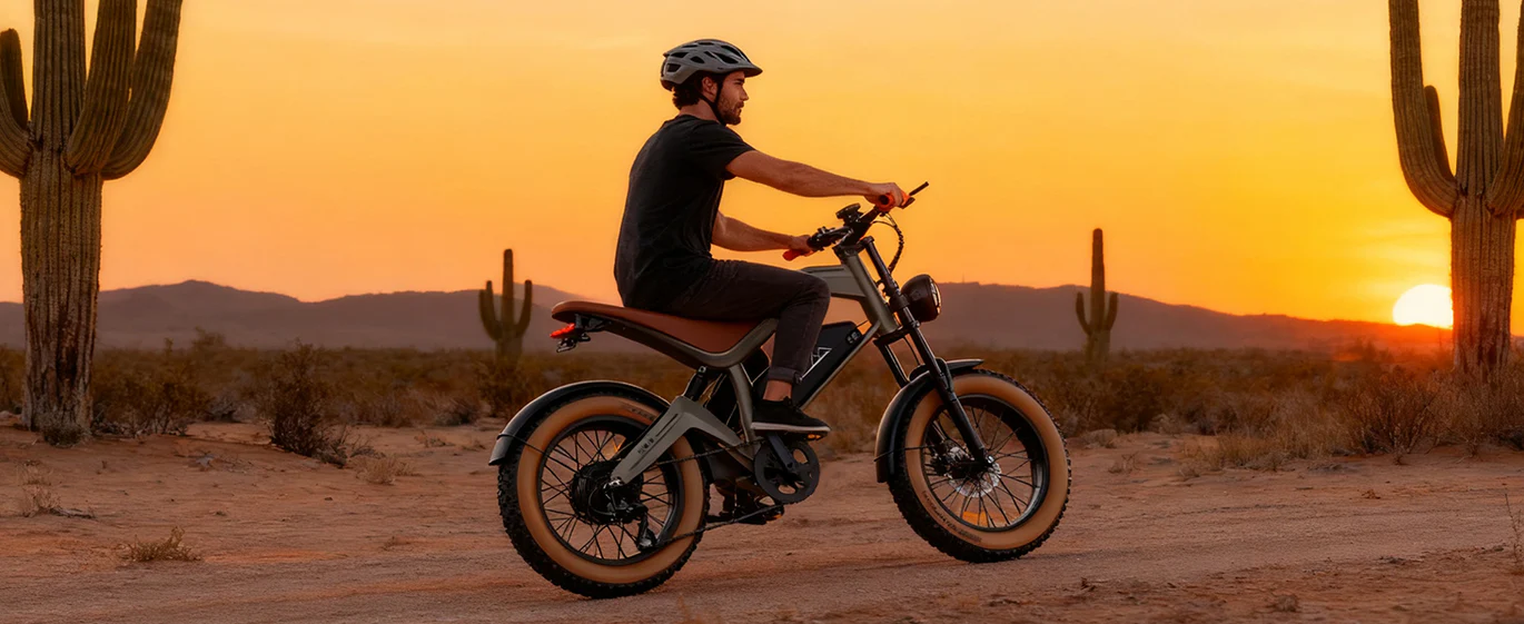 Zonveer M20 All-Terrain Long-Range Electric Bike 3