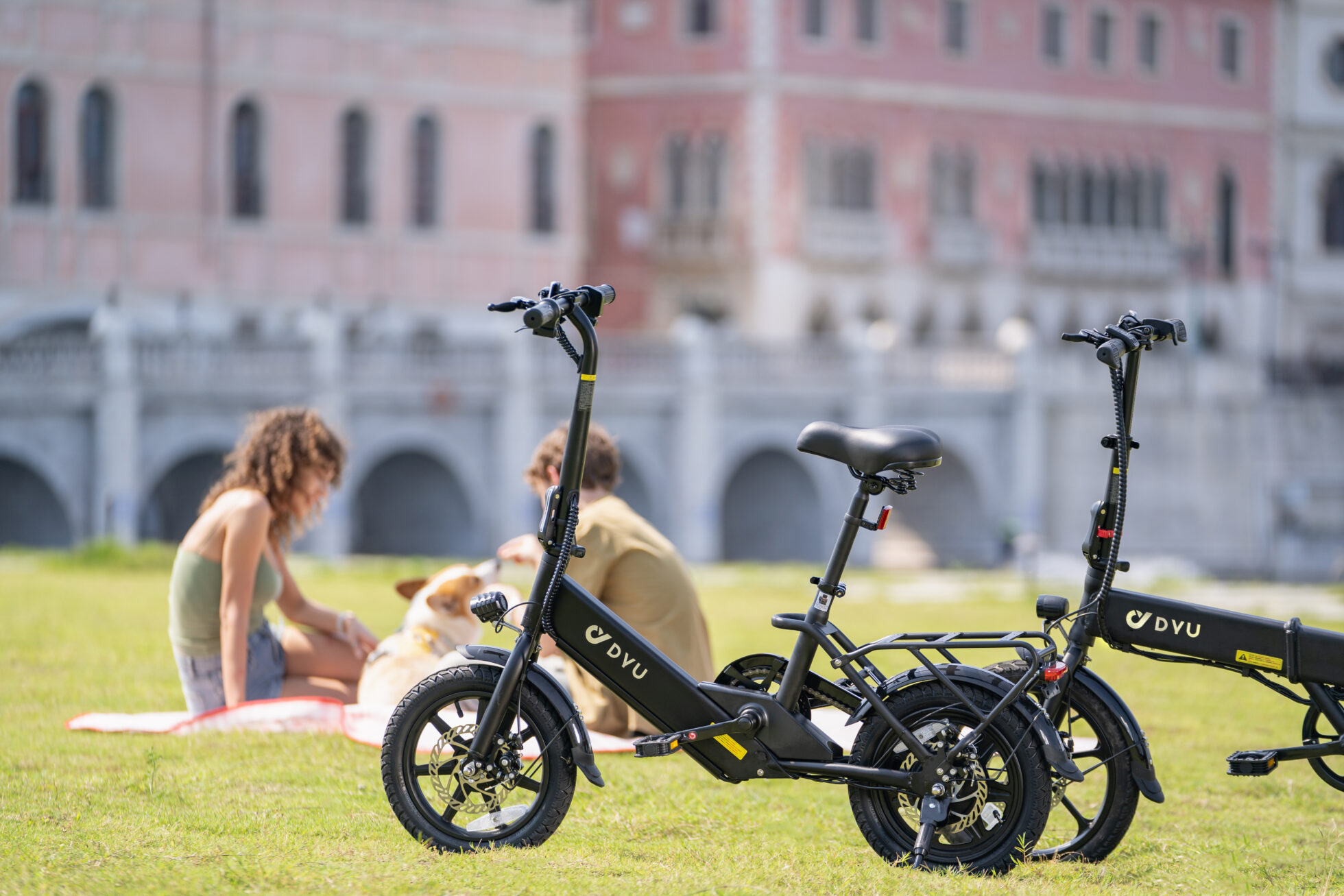 Zonveer C3 vs FIIDO D3 PRO: Which Folding E-Bike Is Better for City Commuters? 10